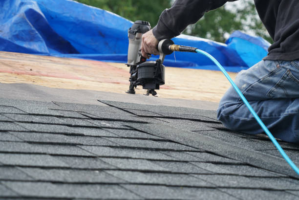 Best Rubber Roofing (EPDM, TPO)  in Carlisle, KY